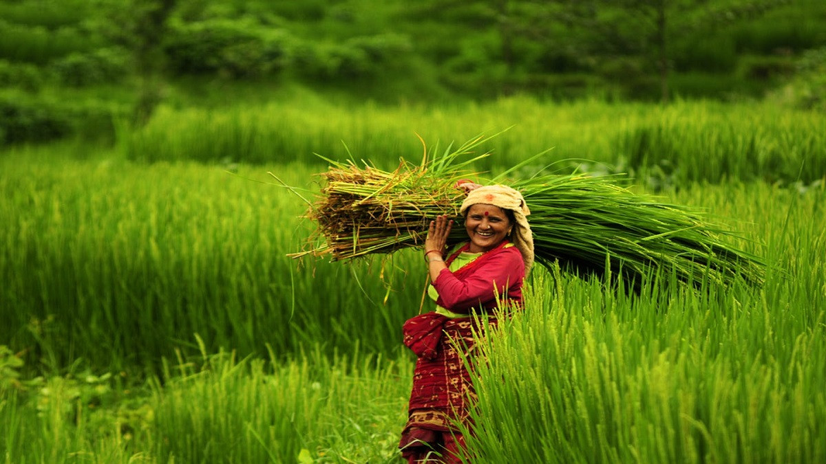 UN declares Nepal happiest country in South Asia